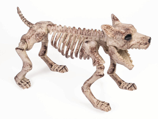 BONE SKELETON DOG SMALL 18"X8"