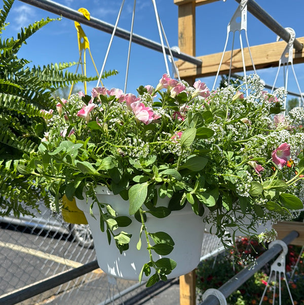 Hanging Basket