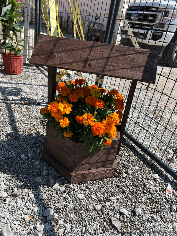 Wishing well flower