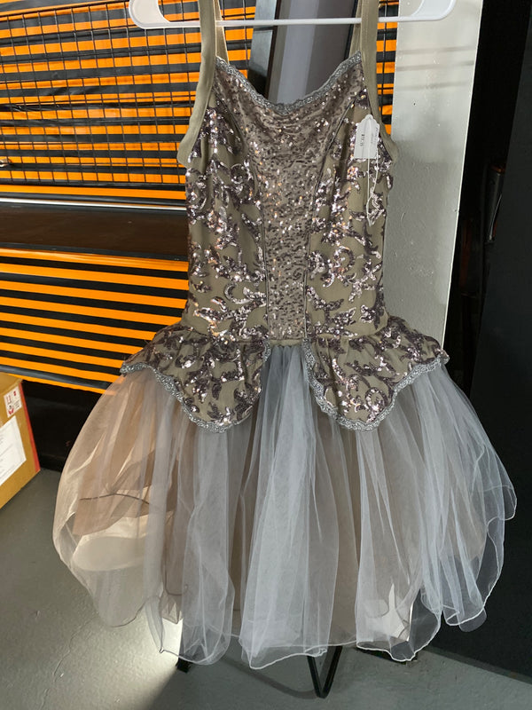 SILVER PRINCESS DRESS